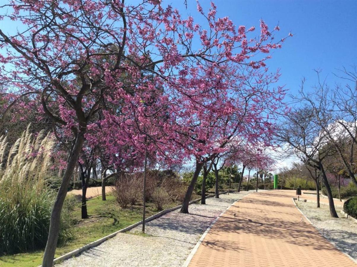 797 Holiday Rentals - Amplio Piso Para 4 En El Centro De Arroyo De La Miel 贝纳尔马德纳 外观 照片